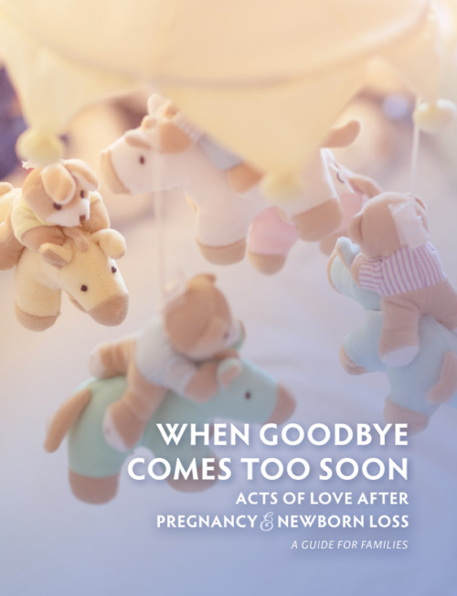 When Goodbye Comes Too Soon Cover